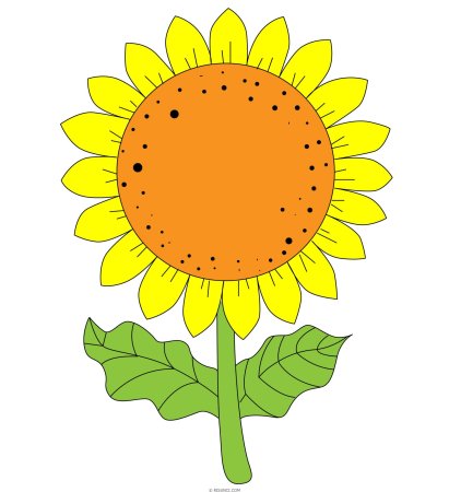 Раскраска подсолнух для детей 3-4 лет
