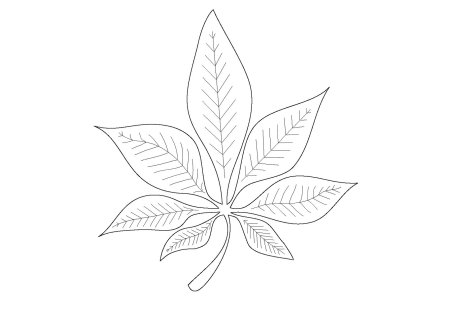 Каштановый лист трафарет