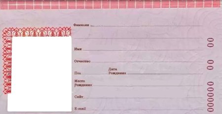 Шаблон паспорта рф для заполнения (46 фото)