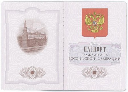 Копия всех страниц паспорта