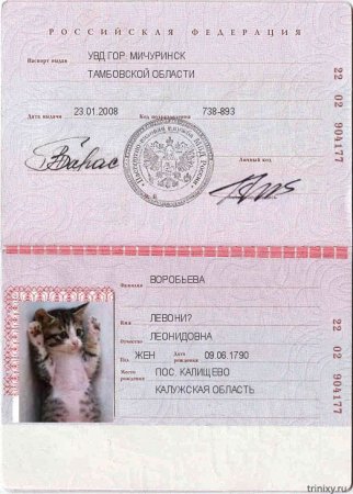 Паспорт РФ пустой