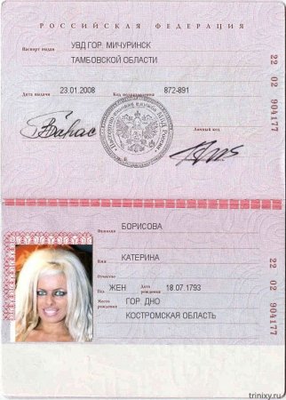 Паспорт Алена Соколова
