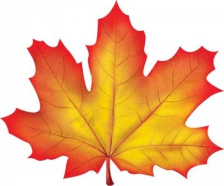 Шаблон цветные листья осенние (48 фото)