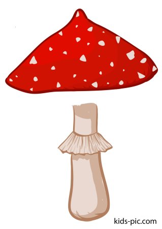 Аппликация грибы