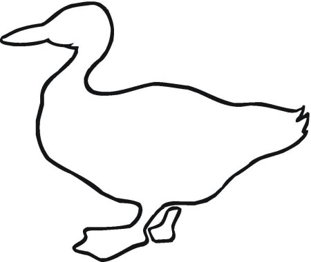 Раскраска утки