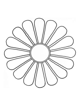 Ромашки картинки