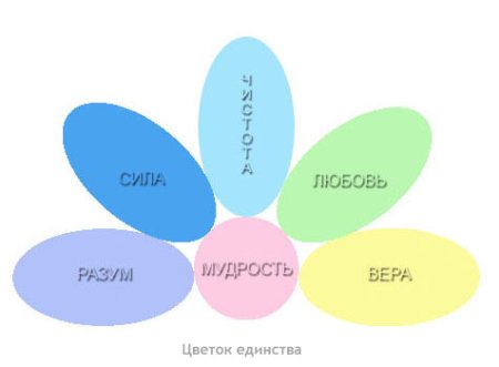 Ромашка толерантности