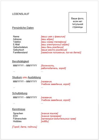 Пример Curriculum vitae на английском языке