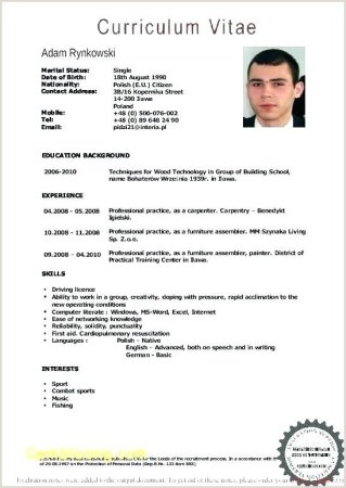 Resume examples in English
