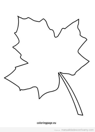 Лист клена раскраска