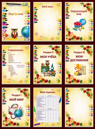 Портфолио ученика начальной школы