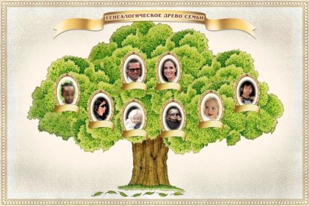 Генеалогическое Древо Family Tree