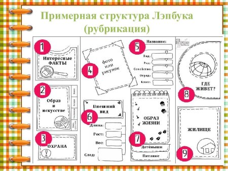 Задания для лэпбука
