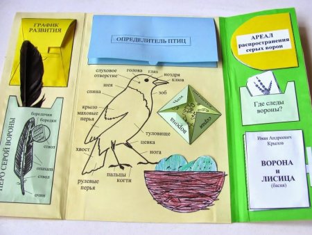 Лэпбук книжка