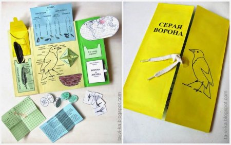 Мини книжки для лэпбука