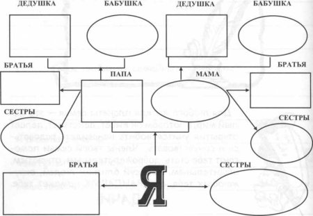 Генеалогическое Древо семьи схема для школы