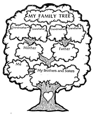 Семейное дерево (my Family Tree)
