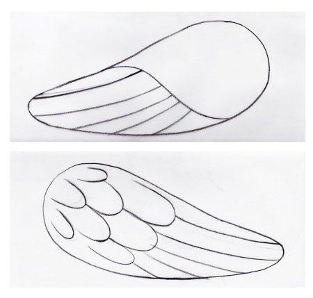 Шаблон крыла