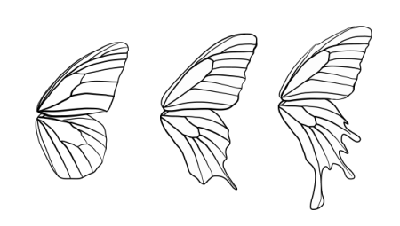 Шаблон крылья бабочки (48 фото)