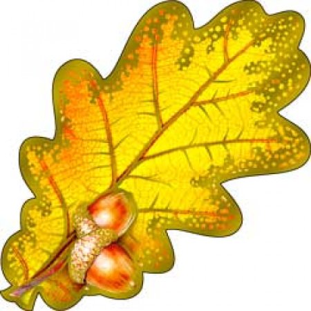 Шаблон цветные дубовые листья (36 фото)