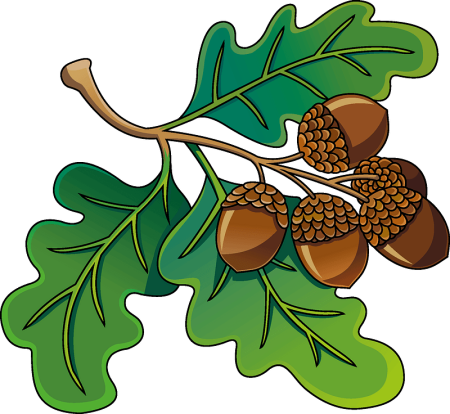 Желудь Clipart