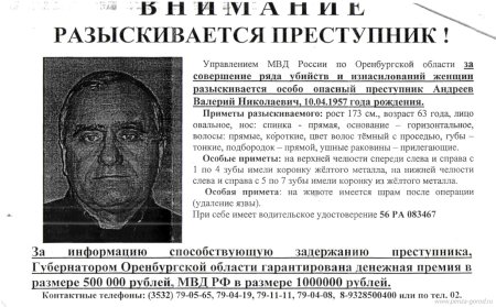 Внимание розыск
