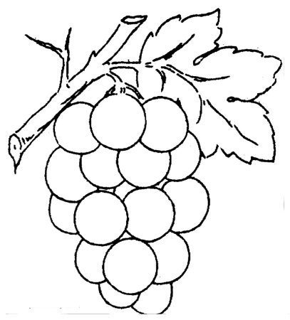 Шаблон виноград (39 фото)