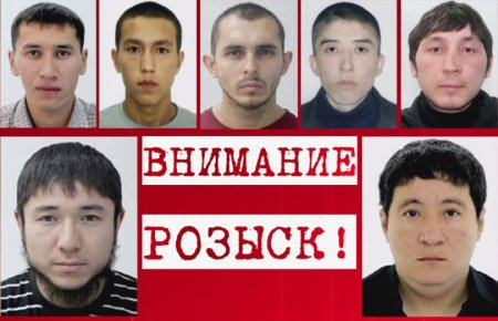 Их разыскивают фон