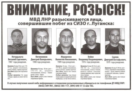 Внимание розыск доска