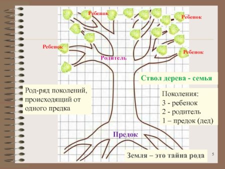 Составление семейного древа