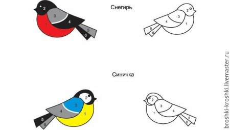Раскраска Снегирь и синица для детей