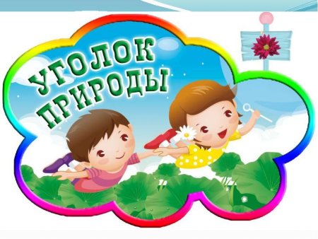 Название центров в детском саду
