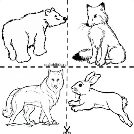 Рисунки диких животных для детей