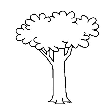 Шаблон дерево раскраска (45 фото)