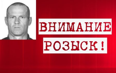 Внимание розыск картинки