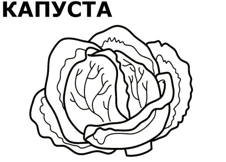 Ребенок в капусте