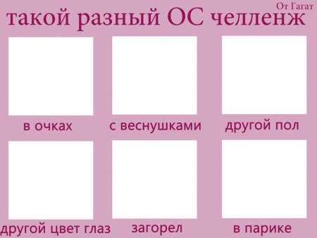 Такой разный ОС ЧЕЛЛЕНДЖ