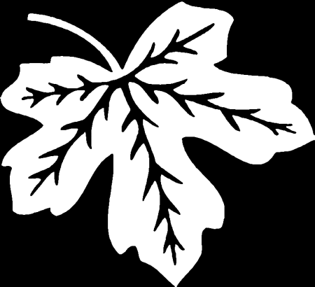 Вытынанка листья