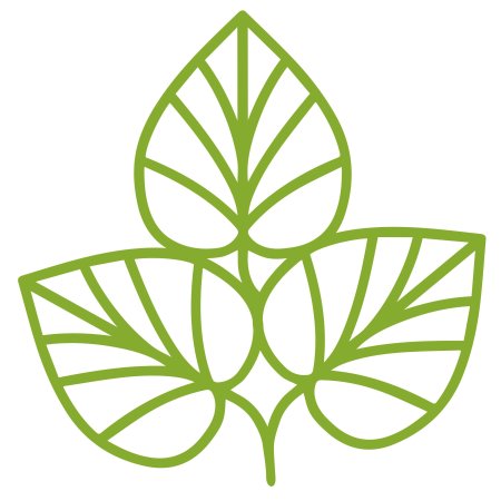 Листочки для цветов