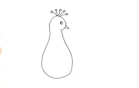 Туловище павлина