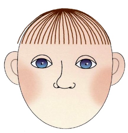 Контур лица