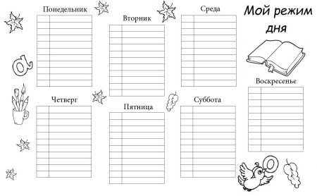 Распорядок дня