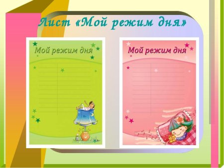 Распорядок дня
