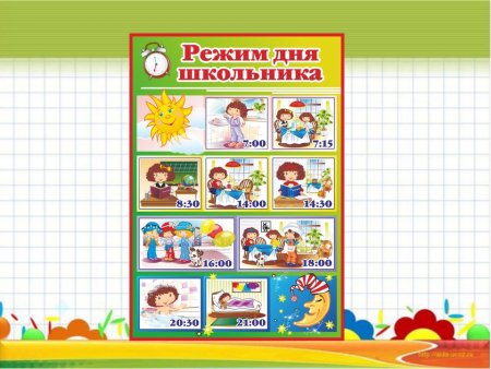 Распорядок дня шаблон