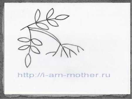 Веточка рябины без ягод