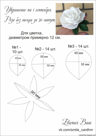Выкройка лепестков розы из ткани своими руками