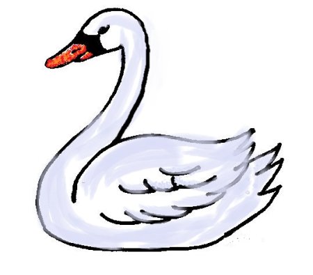Лебедь сбоку рисунок