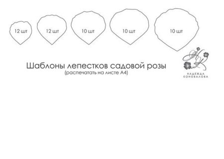 Лепесток розы шаблон