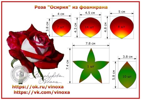 Выкройка лепестков розы