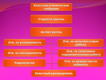 Актив учебной группы